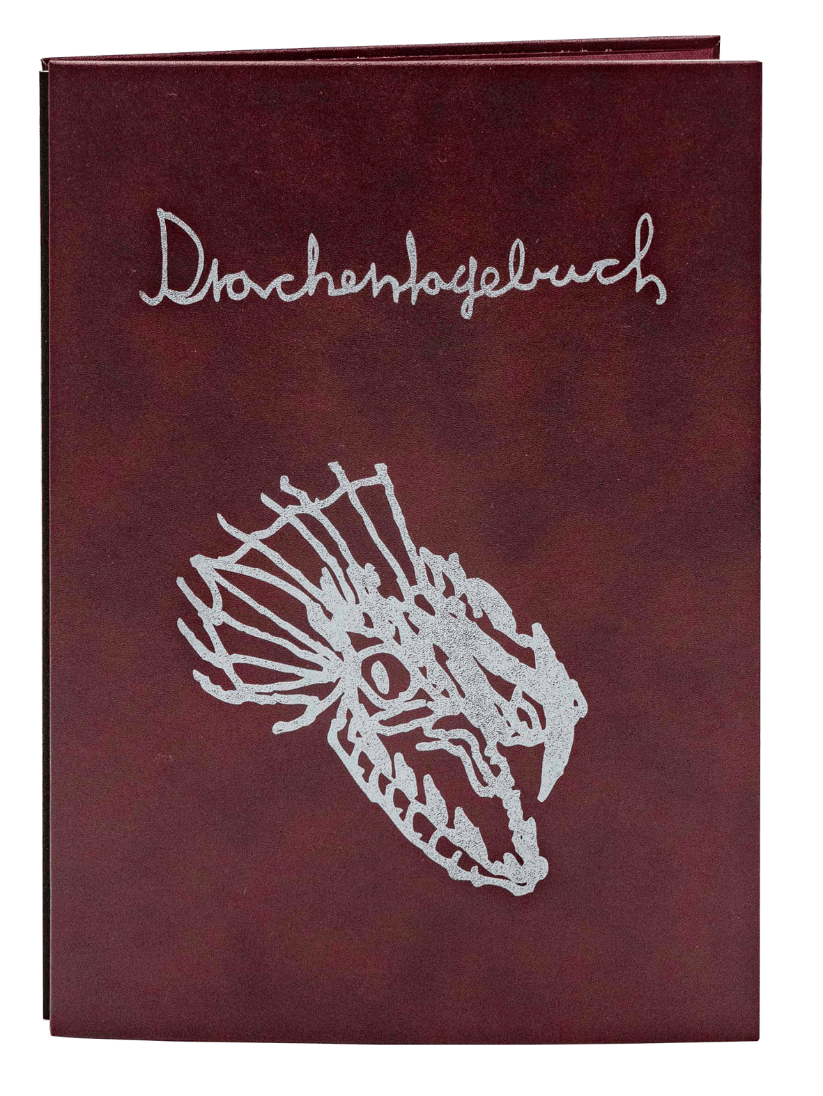 Drachentagebuch